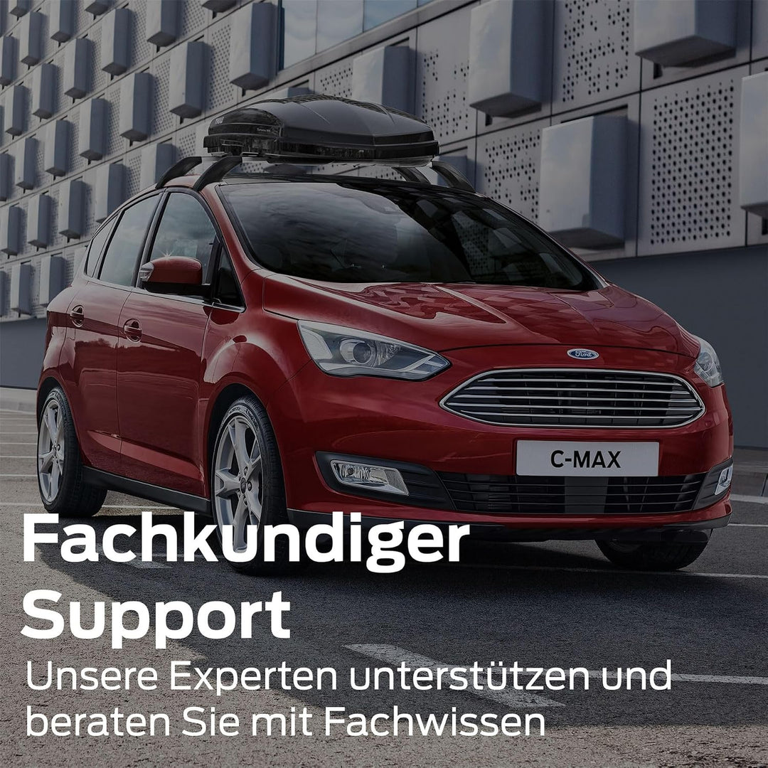Ford Original Transit ab 2014 Schutzgitter für Heckscheiben Doppelflügeltür