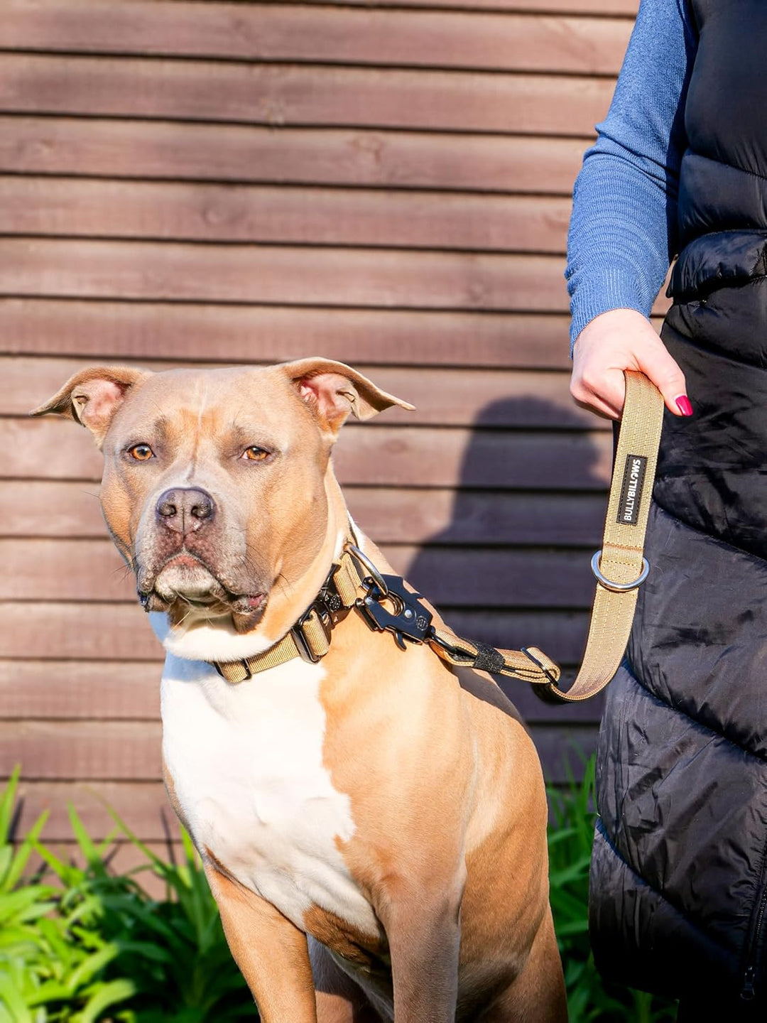 BullyBillows Traffic Hundeleine | Kurzgriff für Enge Kontrolle und Sicherheit | Gepolstert, robust u