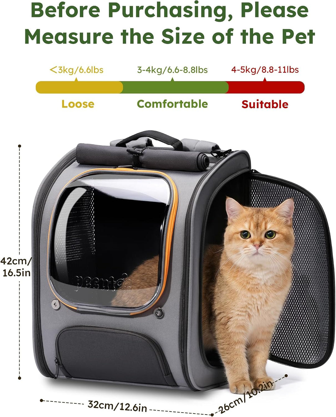 pecute Katzenrucksack Bubble Haustier Rucksack mit Netzfenster, Tragbare und Faltbare Katzentasche,