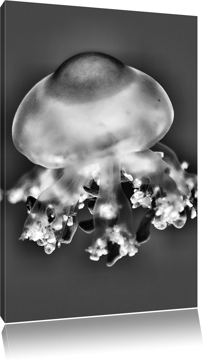 Monocrome, Qualle im Meer, Format: 100x70 auf Leinwand, XXL riesige Bilder fertig gerahmt mit Keilra