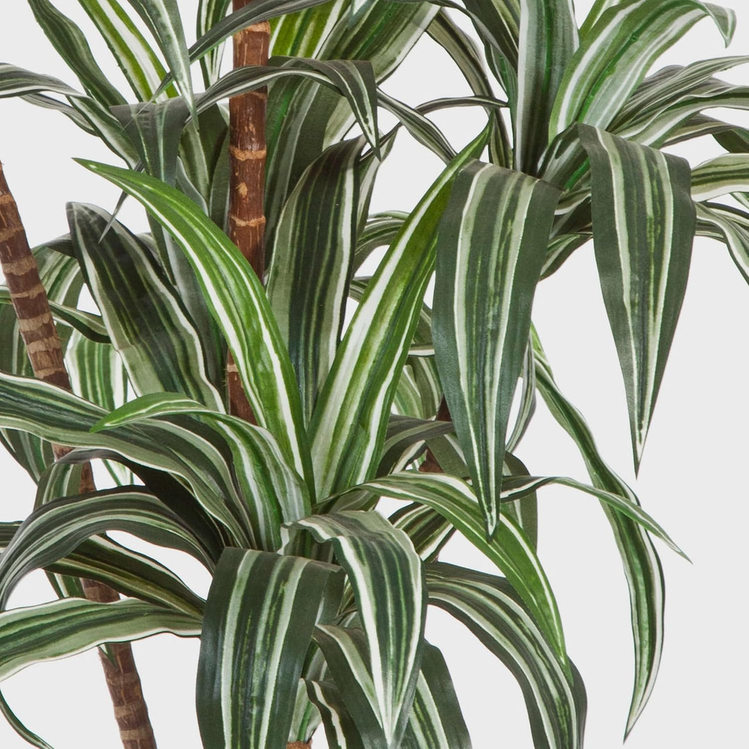 artplants.de Deko Dracaena, 6 stämmig, weiss - grün, 150cm - naturgetreue Kunstpalme - Dracaena küns