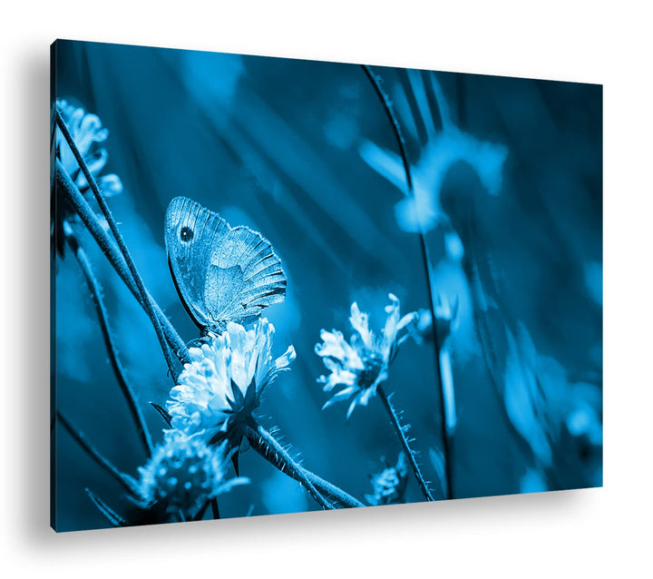 deyoli Atemberaubende Blumenwiese Format: 80x60 Effekt: Monocrome Blau als Leinwandbild, Motiv ferti