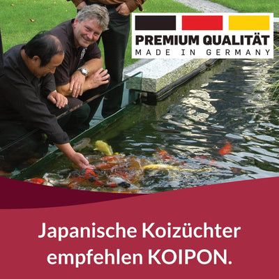 KOIPON Energy 15 kg Fischfutter Winter sinkend, Teichfutter 6mm Pellets für japanische Koi, Koifutte