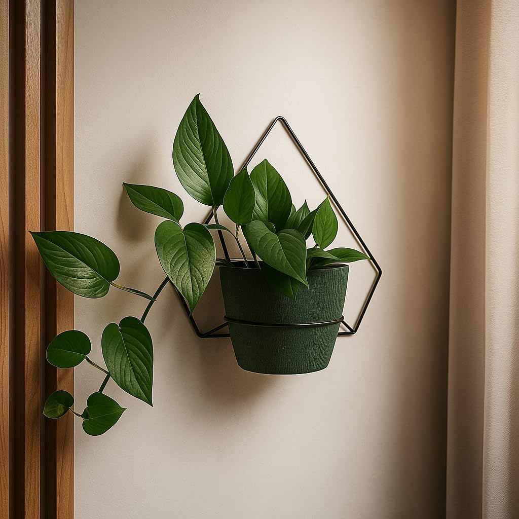 Pflanzregal Wand - Blumenhalter Hängend - aus Metall, Moderne Wand Deko für Wohnzimmer, Jugendzimmer