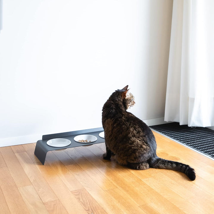 LucyBalu® Erhöhte 3er-Futterstation Katze | Ergonomischer Katzennapf erhöht | Erhöhter Futternapf fü