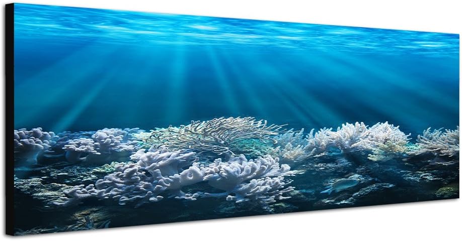 Paul Sinus Art Panoramabild auf Leinwand und Keilrahmen 150x50cm Meer Unterwasser Korallen Sonnenstr