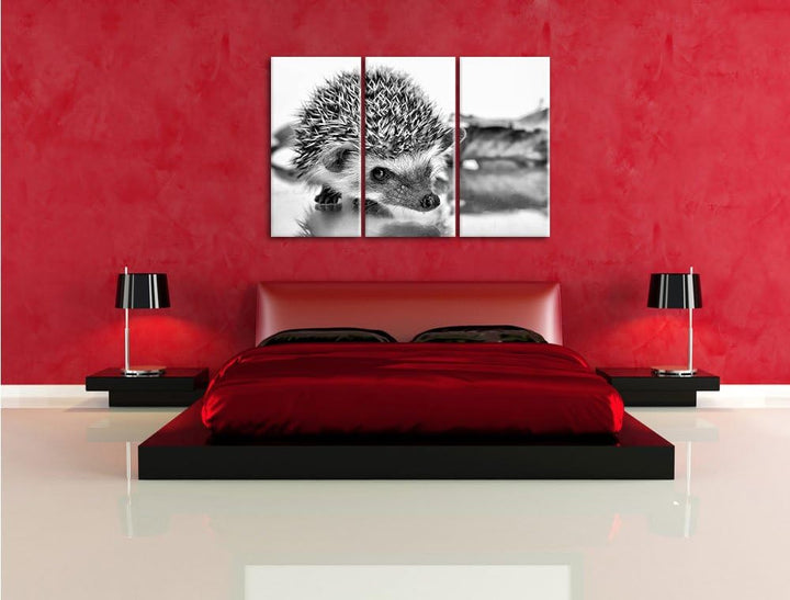Pixxprint Süsser Igel als Leinwandbild/Grösse: 3 Teilig (120x80) cm/Wandbild/Kunstdruck/fertig bespa