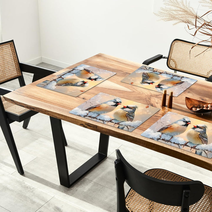 KitchenYeah© Platzsets Abwaschbar 6-Teilig 45x30 cm Tischsets Platzdeckchen Platzset Unterlage Tisch