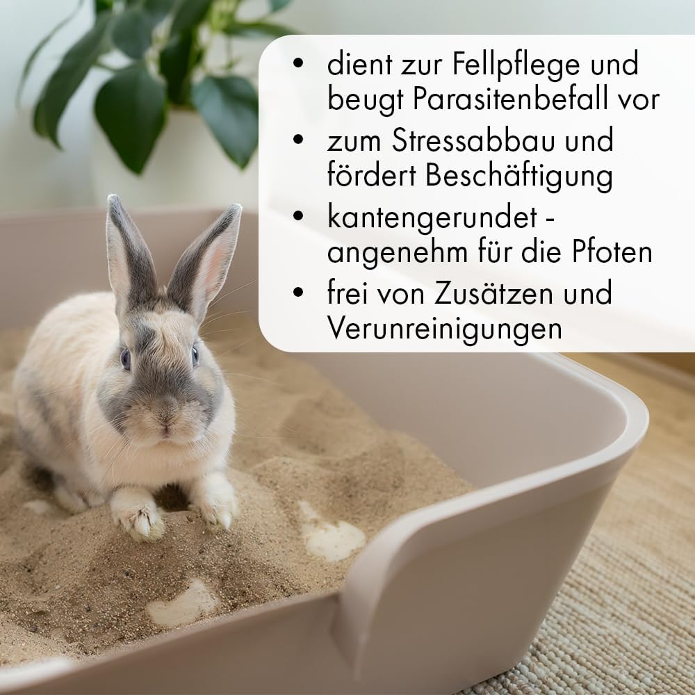 Terra Discount Buddelsand für Kaninchen 20 kg – grabfähiger Natursand für Buddelkiste &amp; Gehege – sta