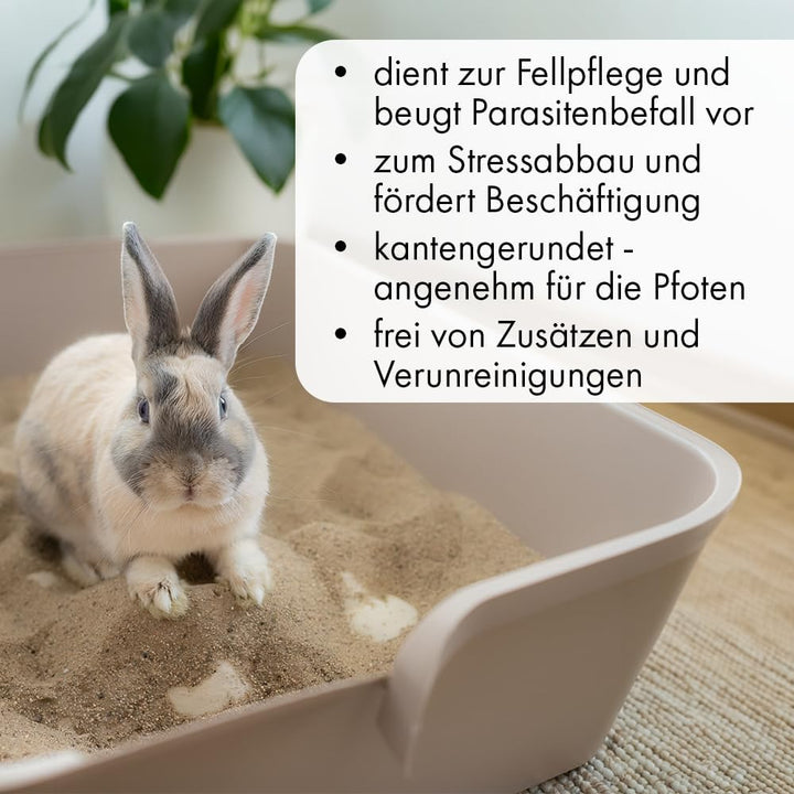 Terra Discount Buddelsand für Kaninchen 20 kg – grabfähiger Natursand für Buddelkiste &amp; Gehege – sta