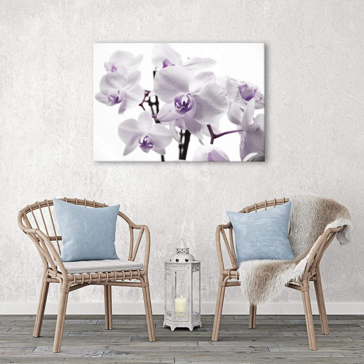 Feeby, Leinwandbild, Bilder, Wand Bild, Wandbilder, Kunstdruck 80x120cm, Blumen, ORCHIDEEN, MAKRO, W