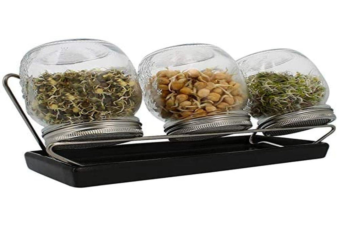 ESCHENFELDER Sprossengläser System III (anthrazit, 750 ml), Glas Anthrazit 750 ml, Anthrazit 750 ml