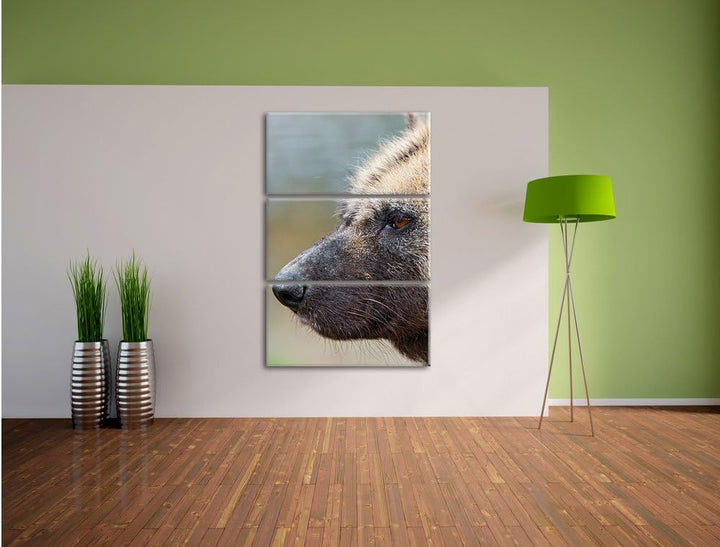 Pixxprint Hyäne im Seitenprofil als Leinwandbild/Grösse: 3 Teilig (120x80) cm/Wandbild/Kunstdruck/fe