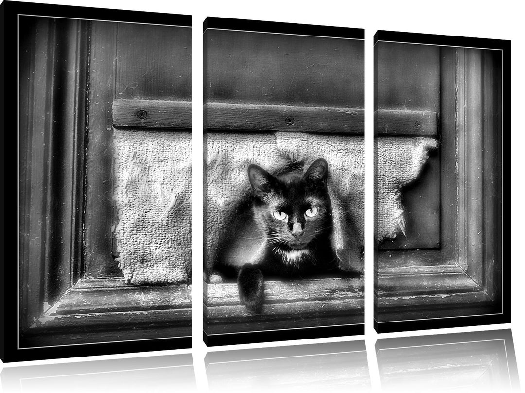 Pixxprint Monocrome, Schwarze Katze durch Hundeklappe 3-Teiler Leinwandbild 120x80 Bild auf Leinwand