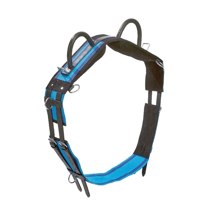 Longiergurt Double navy/sky blue Pony, navy/sky blue Pony