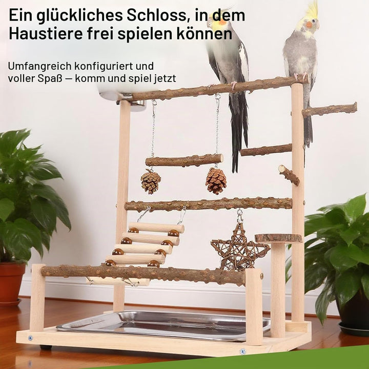 Vogelspielplatz Wellensittich Spielplatz Spielzeug, Grosser vogel Spielplatz mit Schaukel Sitzstange
