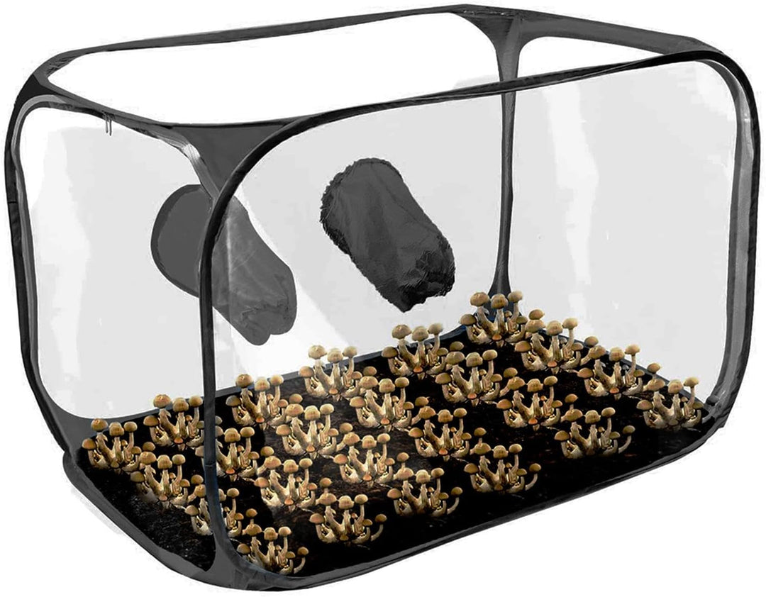 91X59X58 cm Pilz-Zuchtbox, Mushroom Still Air Box, Pilz-Still-Luftbox, Faltbare Wachstumsbehälter Pi