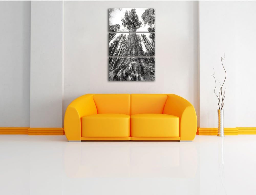 Pixxprint Mammutbaum im Regenwald als Leinwandbild - Grösse: 3-Teilig (120x80cm) - Wandbild - Kunstd