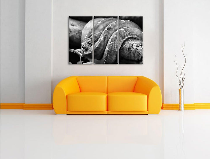 Pixxprint Grüne exotische Schlange als Leinwandbild/Grösse: 3 Teilig (120x80) cm/Wandbild/Kunstdruck