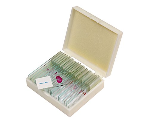 Betzold - Präparate-Set 3 – 25 Stück, Zubehör für Mikroskop, Biologie, organische Objekte Mehrfarbig