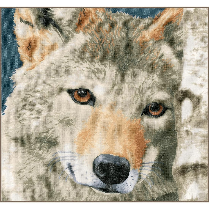 Lanarte Zählmusterpackung Wolf Zählstoff Kreuzstichpackung, Baumwolle, Mehrfarbig, 35 x 35 x 0.3 cm,