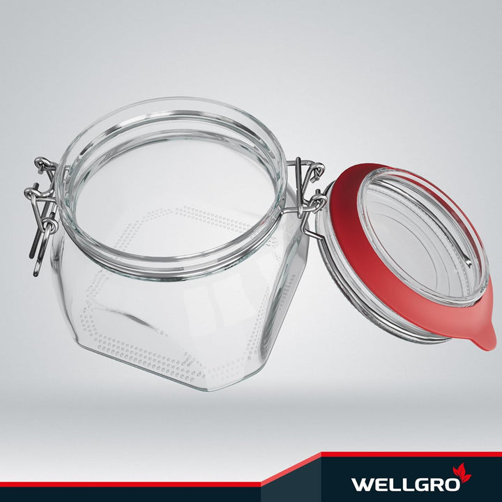 WELLGRO Einmachgläser mit Bügelverschluss eckig, Fermentierglas, Vorratsgläser mit Deckel, Bügelglas