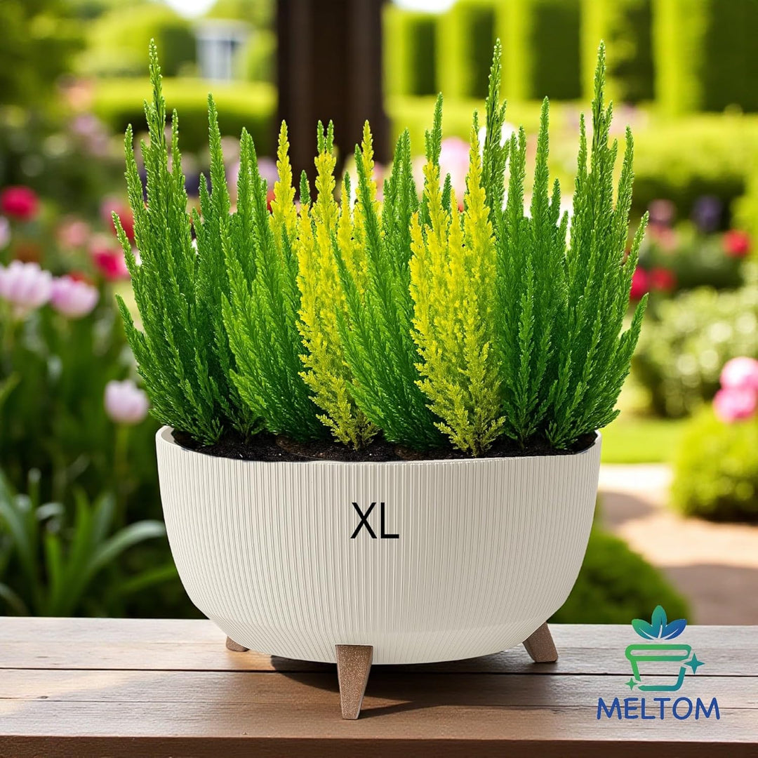 MELTOM Blumentopf Schale mit Füssen Einsatz Kräutertopf Übertopf Pflanzschale Eco Recycled (Baumwoll