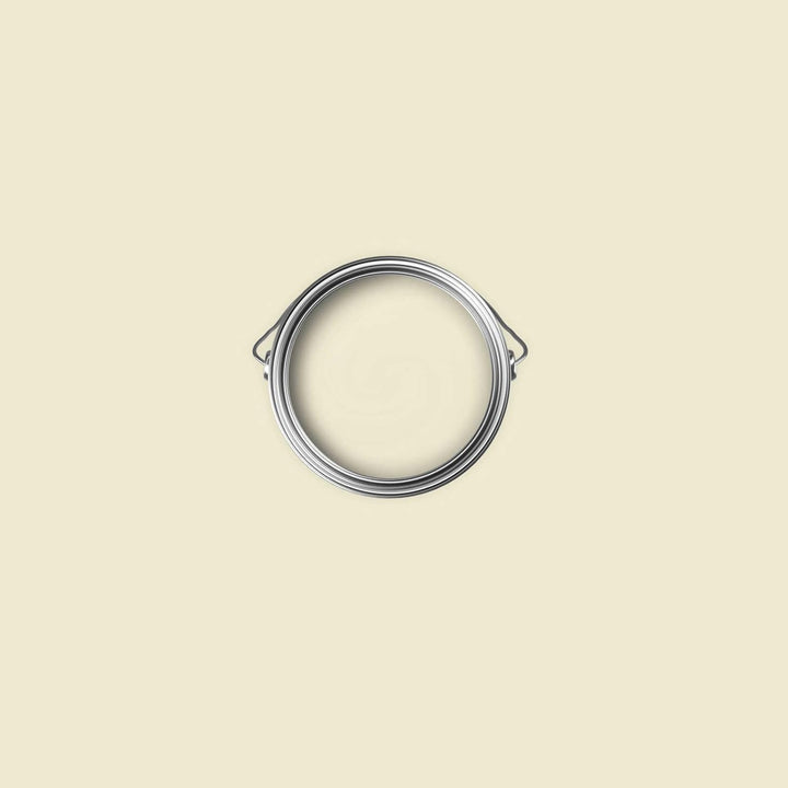 New Walls Premium Wandfarbe Grün, Champagner Liquid Luxury Dispersionsfarbe für Innenräume – 1 L 100