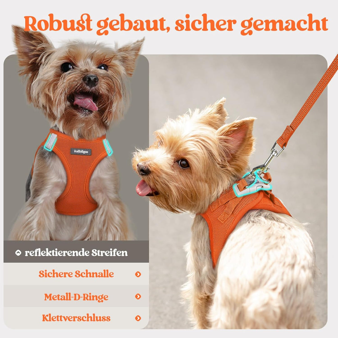rabbitgoo Hundegeschirr Kleine Hunde mit Leine, Step-in Welpengeschirr Weich Mesh für Spaziergänge,