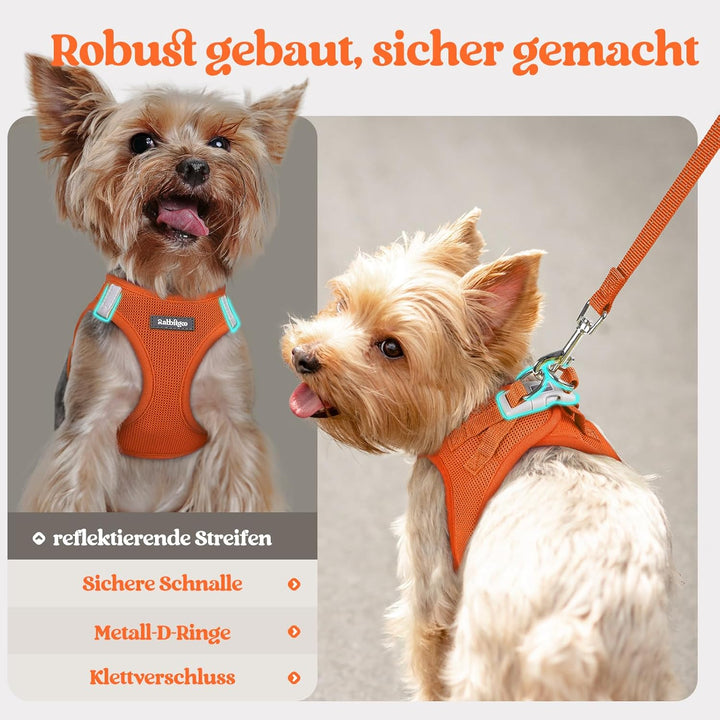 rabbitgoo Hundegeschirr Kleine Hunde mit Leine, Step-in Welpengeschirr Weich Mesh für Spaziergänge,
