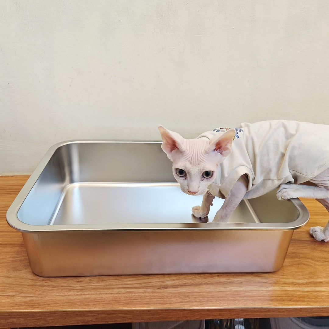 IKITCHEN Katzentoilette aus Edelstahl, grosse Metall-Katzentoilette für Katzen, Katzentoilette nimmt
