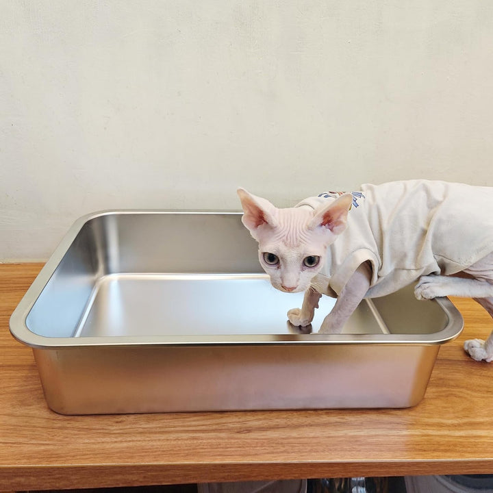 IKITCHEN Katzentoilette aus Edelstahl, grosse Metall-Katzentoilette für Katzen, Katzentoilette nimmt
