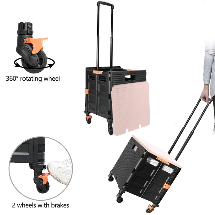 Wagen Faltbar mit Rädern, 1,93Cu ft/100Lbs Edelstahl mit Hoher Kapazität Robuster und Langlebiger Ei