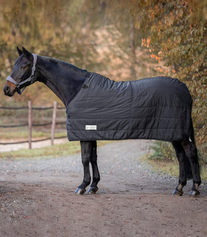 WALDHAUSEN Economic Thermo Unterdecke, 100 g Schwarz 165 cm, Schwarz 165 cm
