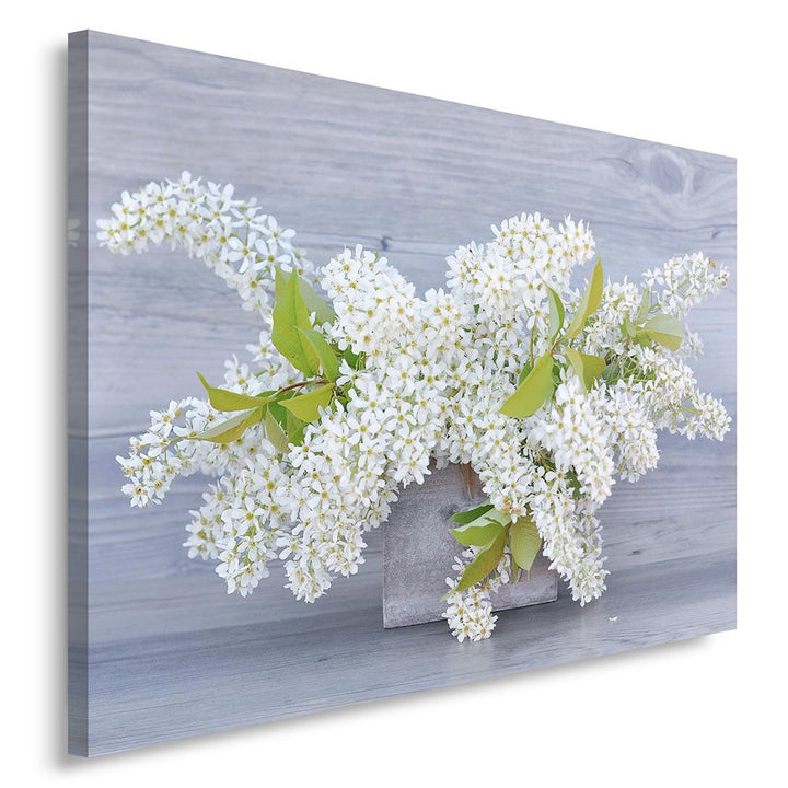 Feeby. Wandbild - 1 Teilig - 50x70 cm, Leinwand Bild Leinwandbilder Bilder Wandbilder Kunstdruck, PF
