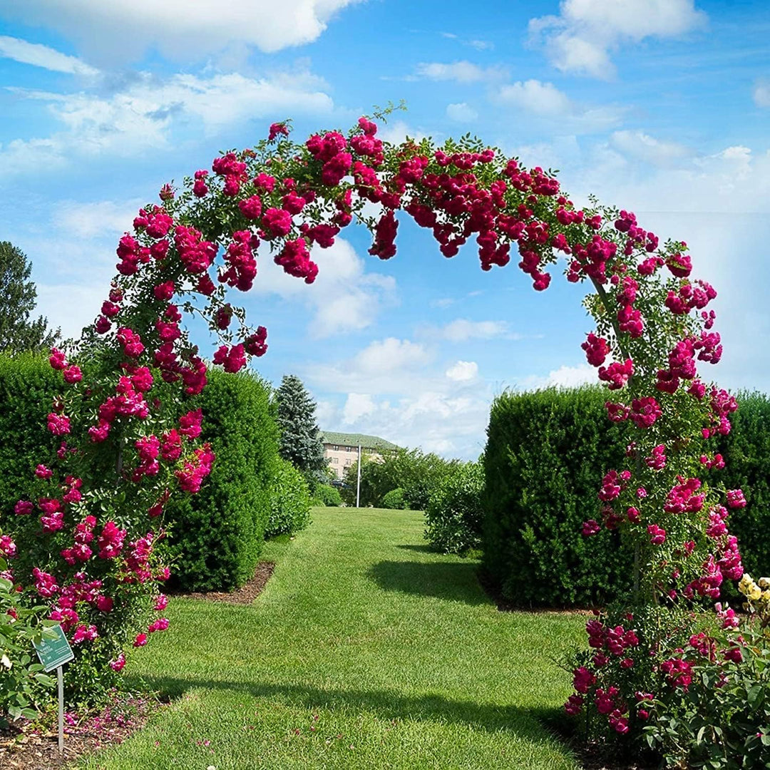 Forever Speed Rosenbogen Torbogen Garten Rankgitter Rosenhilfe aus Pulverbeschichtetem Stahl, Garten