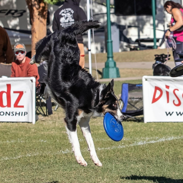 Hyperflite Hunde-Flugscheibe Jawz Pup, 7 Zoll, Leuchtet im Dunkeln Leuchtend, Leuchtend