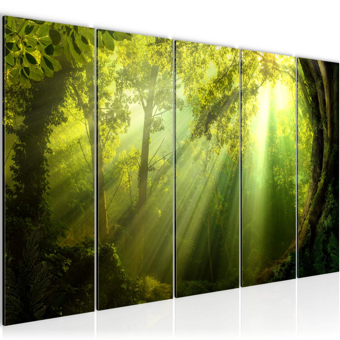 Runa Art Bild Wald Landschaft Wandbilder auf Vlies Leinwand 5 Teilig Wanddekoration Schlafzimmer Woh