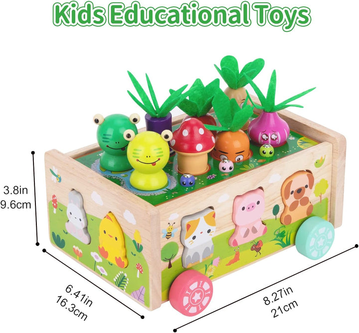 Montessori Spielzeug ab 1 2 3 Jahr | Karotten Steckspiel Holz | Montessori Geschenk Mädchen Jungen |