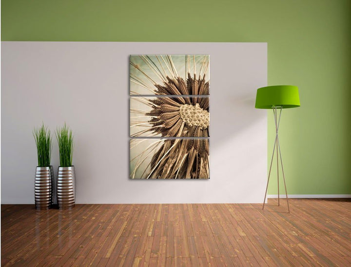 Pixxprint Vertrocknete Pusteblume als Leinwandbild/Grösse: 3 Teilig (120x80) cm/Wandbild/Kunstdruck/