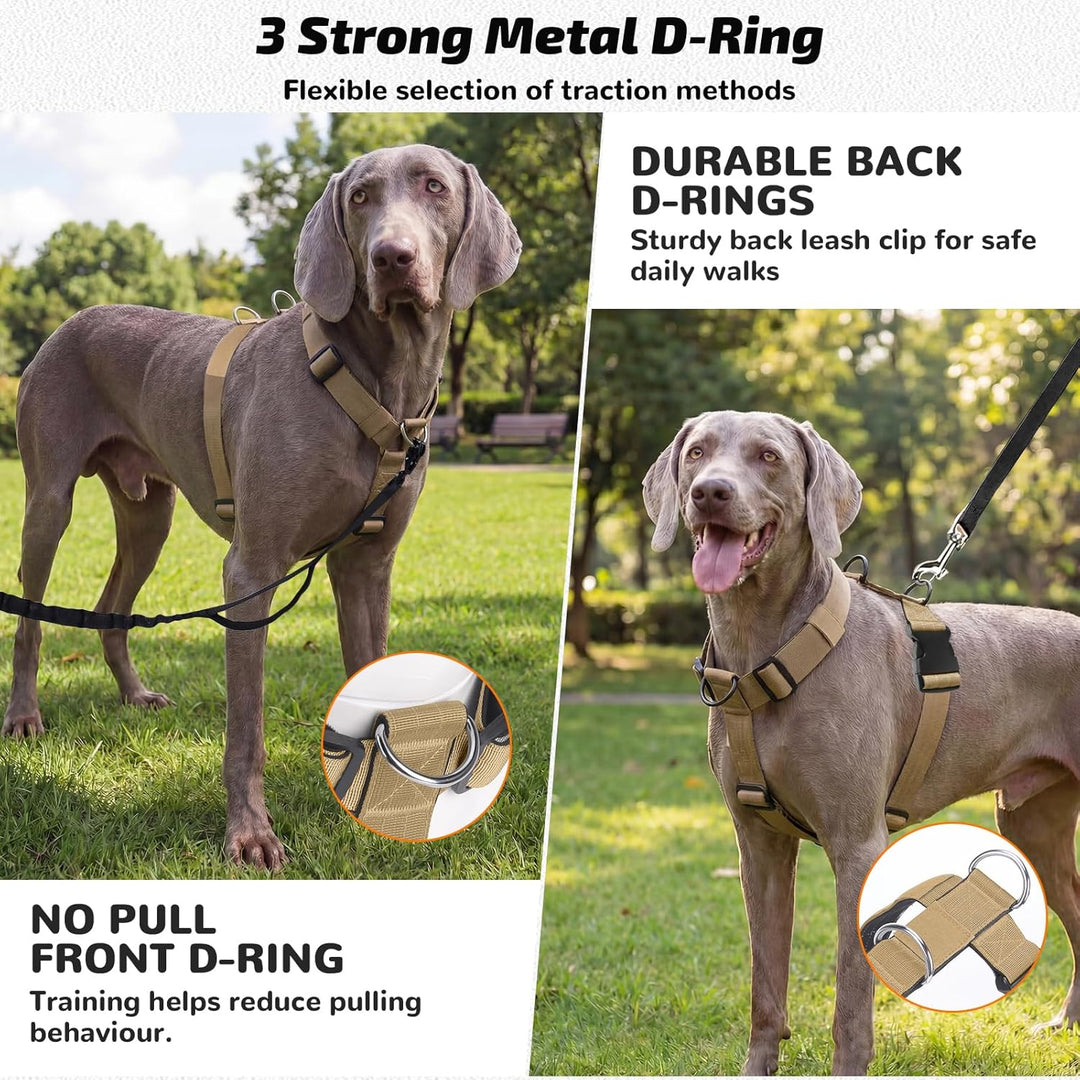 Hundegeschirr Mittelgrosse Grosse Hunde, Anti Zug Brustgeschirr Verstellbar mit Front Clip, Taktisch