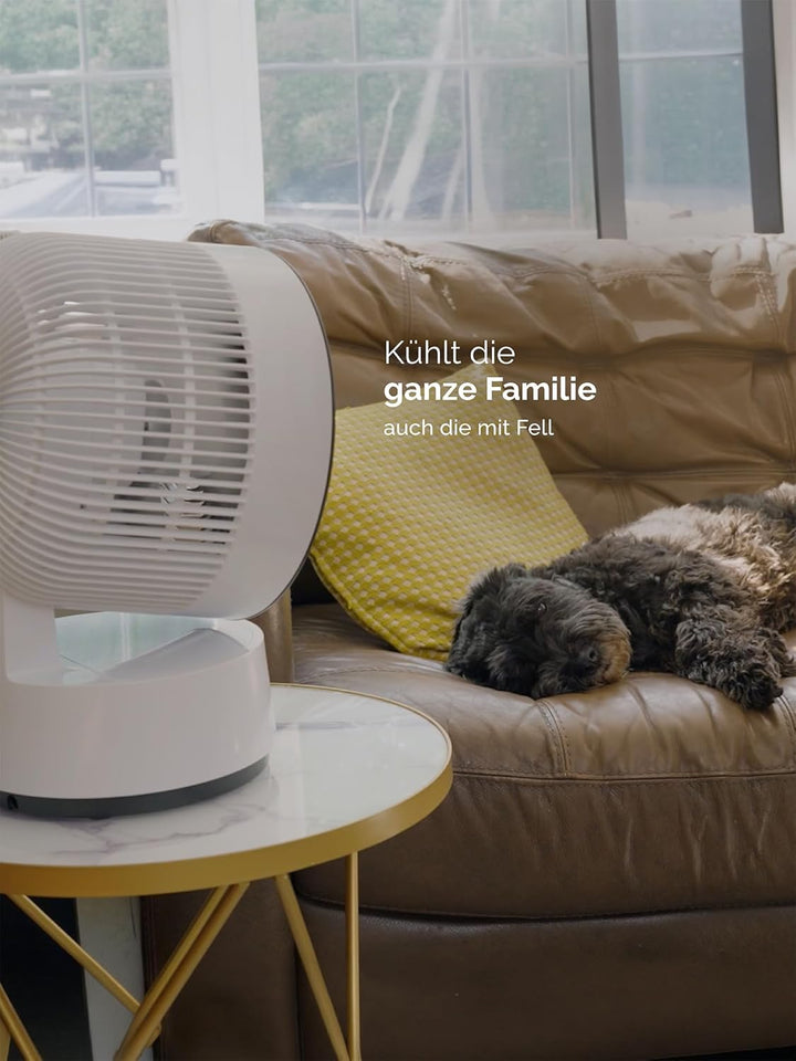 MEACO MeacoFan Sefte® 8 Ventilator mit austauschbarem, wiederaufladbarem Akku - Tragbar, Umweltfreun