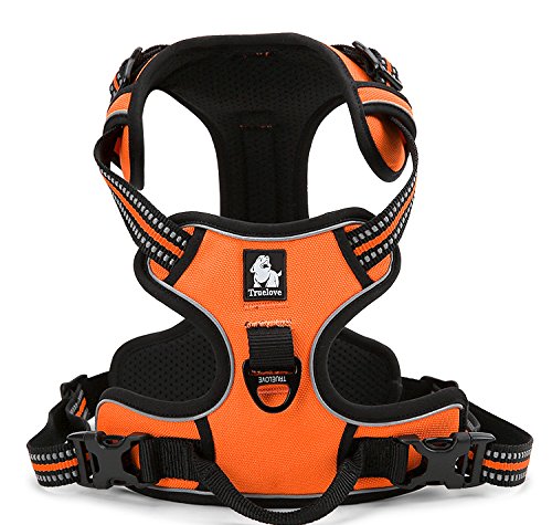 WINHYEPET Truelove Hundegeschirr No-Pull Reflektierendes verstellbar Haustiergeschirr mit 2 Leinencl