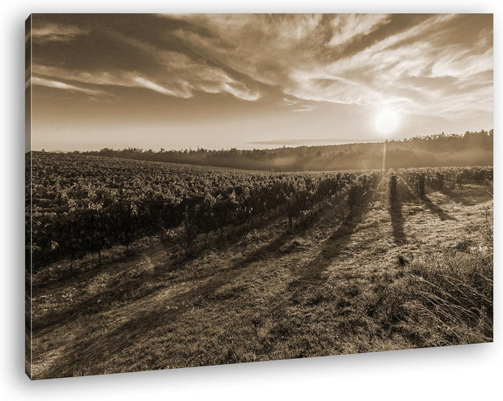 Traubenfeld in der Toskana Format: 60x40 Effekt: Sepia als Leinwandbild, Motiv fertig gerahmt auf Ec