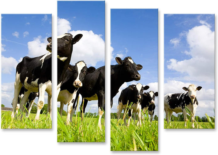 islandburner Bild auf Leinwand Holsteinische Kühe Auf Der Wiese Bilder Wandbilder Poster Leinwand 13