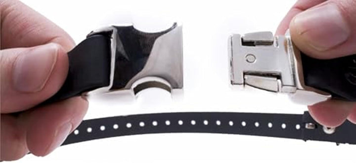 Educator Quick Snap Bungee Collar, 1-Inch Wide by 33-Inches Long, Black 1W x 33L schwarz, 1W x 33L s