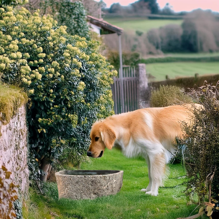 Steintrog Vogeltränke - Tier-Wassernapf aus Naturstein - Handgefertigte Schale - für Vögel, Hunde &