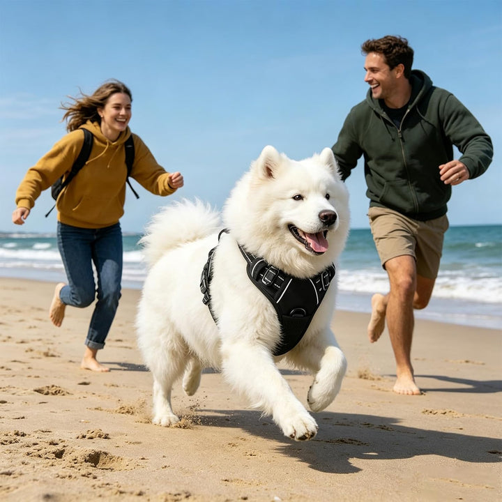 Hundegeschirr Verstellbar Reflektierend 49-98cm Brust | Doppelzugpunkte Vorne &amp; Hinten, Polyester Ne