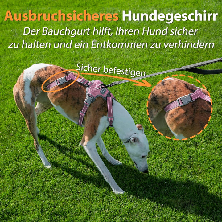 Huntboo Sicherheitsgeschirr Hund Ausbruchsicher, Panikgeschirr für Hunde, Anti Zug Hundegeschirr, Re