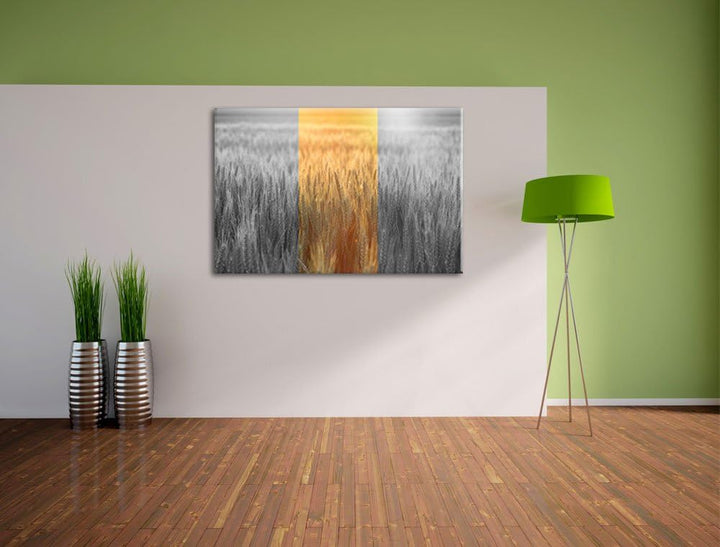 Romantisches Getreidefeld bei Sonnenuntergang schwarz/weiss Format: 100x70 auf Leinwand, XXL riesige